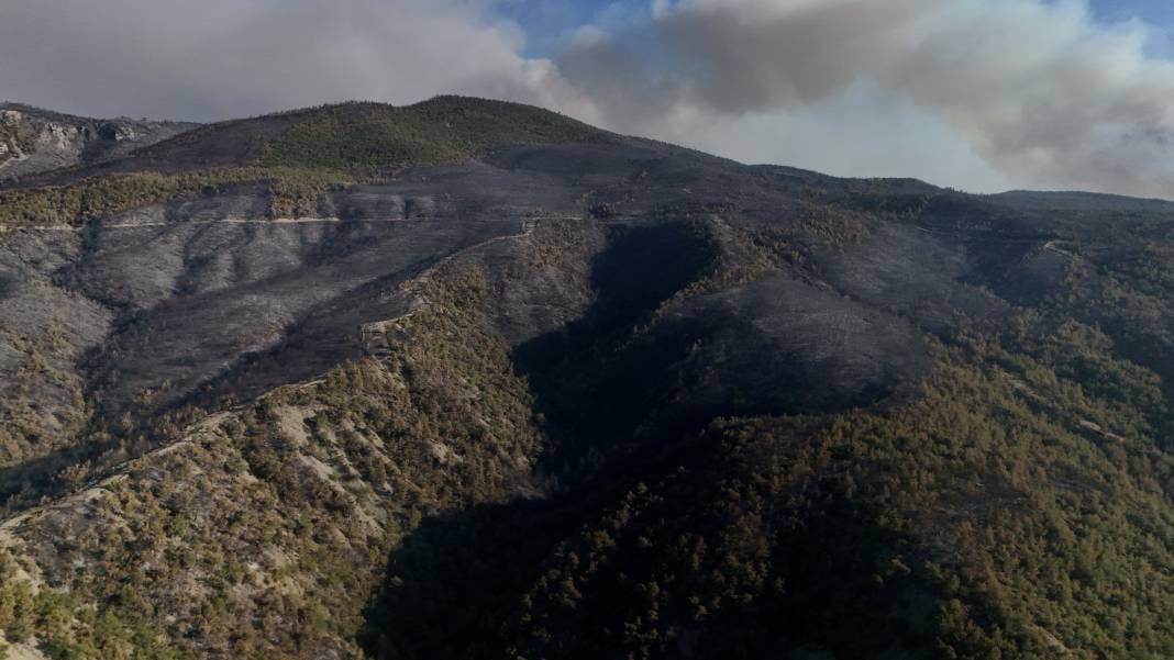Sakarya'da yürek acıtan görüntüler: Yangının bıraktığı hasar ortaya çıktı 2